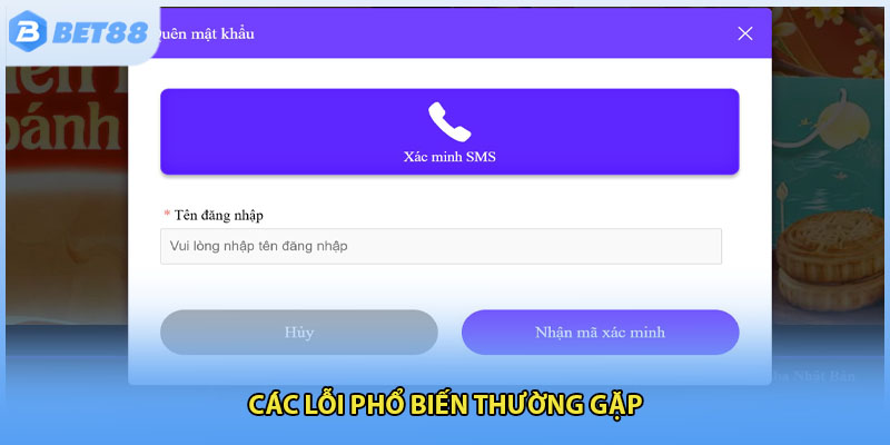 Các lỗi phổ biến thường gặp 