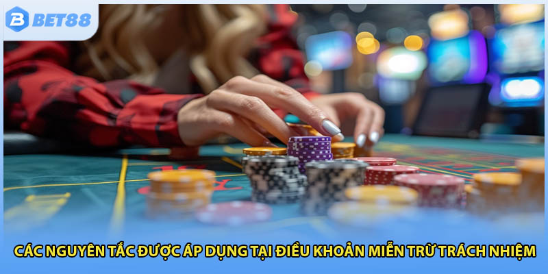 Các nguyên tắc được áp dụng tại điều khoản miễn trừ trách nhiệm