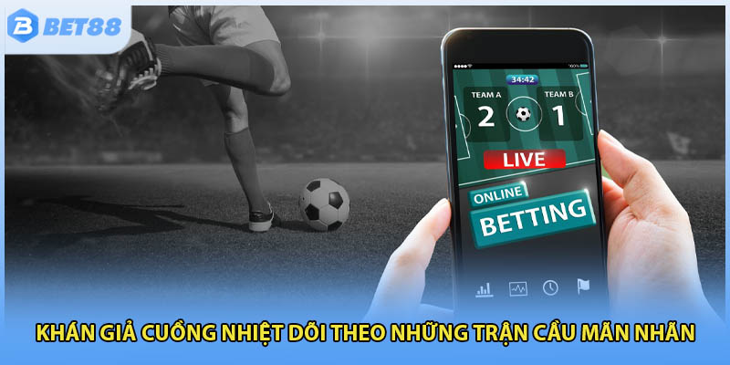 Khán giả cuồng nhiệt dõi theo những trận cầu mãn nhãn