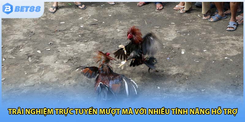 Trải nghiệm trực tuyến mượt mà với nhiều tính năng hỗ trợ 