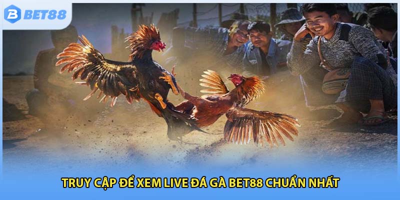 Truy cập để xem live đá gà Bet88 chuẩn nhất